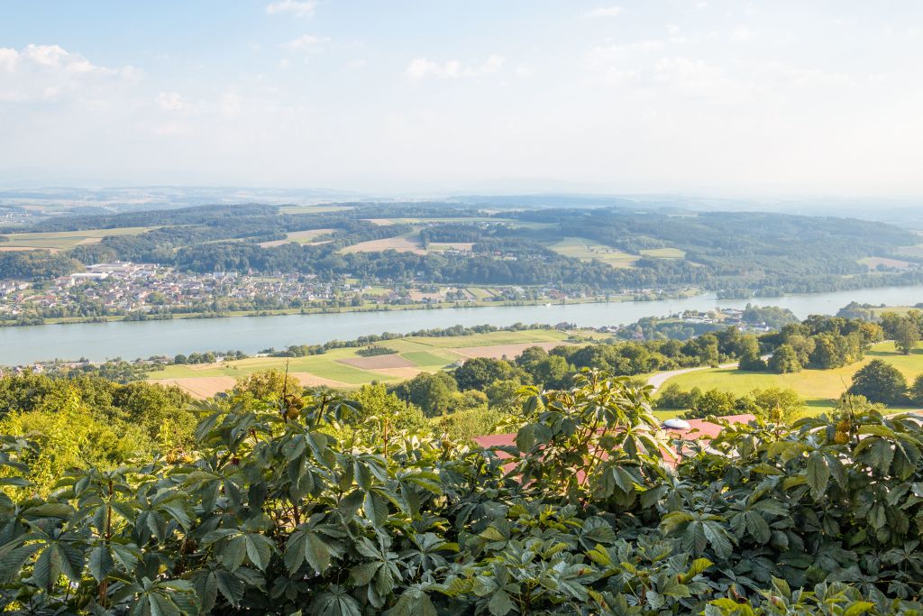 Paesaggio collinare verde, distese di campi, alberi, fiume Danubio, turismo ecosostenibile, tra Austria e Germania